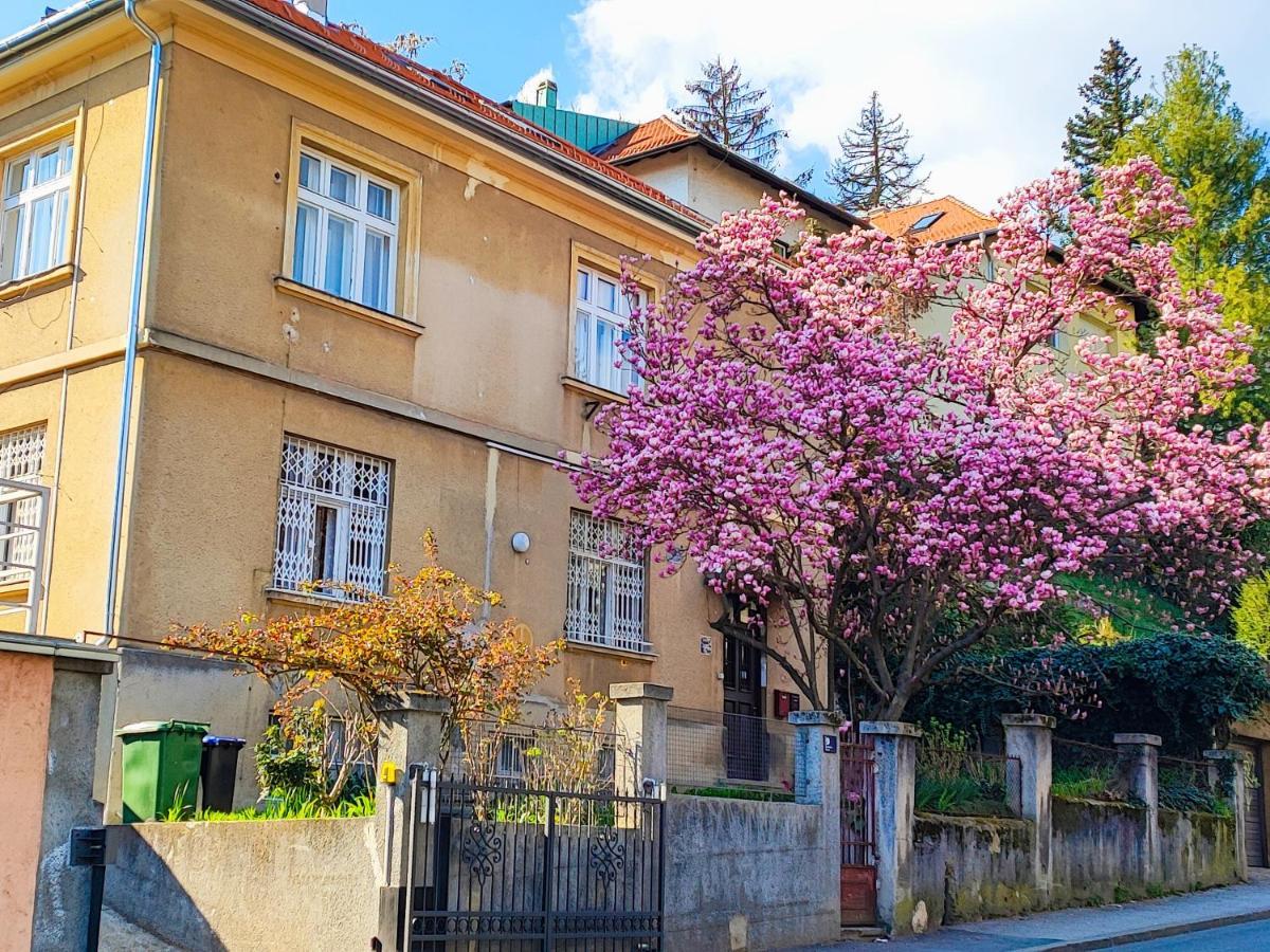 Studio Apartmani L'Art Zagreb Eksteriør bilde